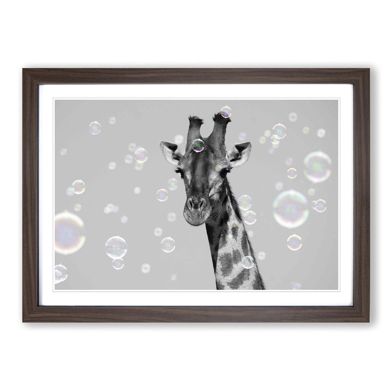 Giraffe Through the Bubbles - Picture Frame Graphic Art Print, 48cm H x 65cm W x 2cm D, Walnut Framed