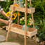 Support pour plante Nellora