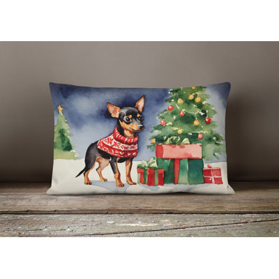  Other/No Pattern Throw Pillow
