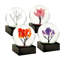 Mini Seasons - Set Of 4