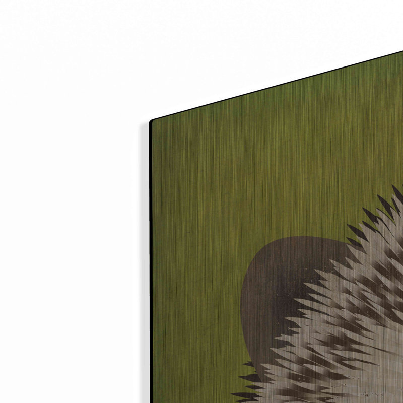 Luxe Baby Art «Baby Hedgehog» par Ryan Fowler, rencontre «Baby Hedgehog» par Ryan Fowler, H 36 po x l 36 po