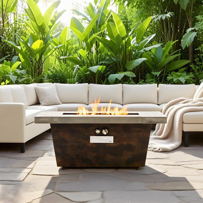 Foyer de table rectangulaire au propane 42 po 50 000 BTU