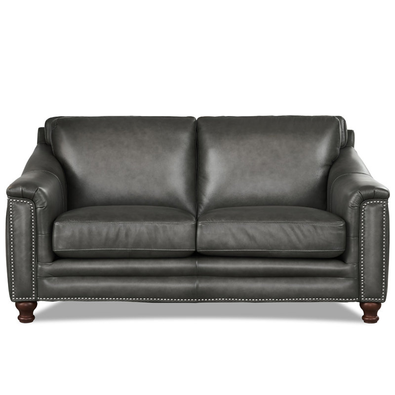 Alpert Upholstered 66.5'' Loveseat, Ash Gray Genuine Leather