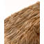 Parasol Thatch