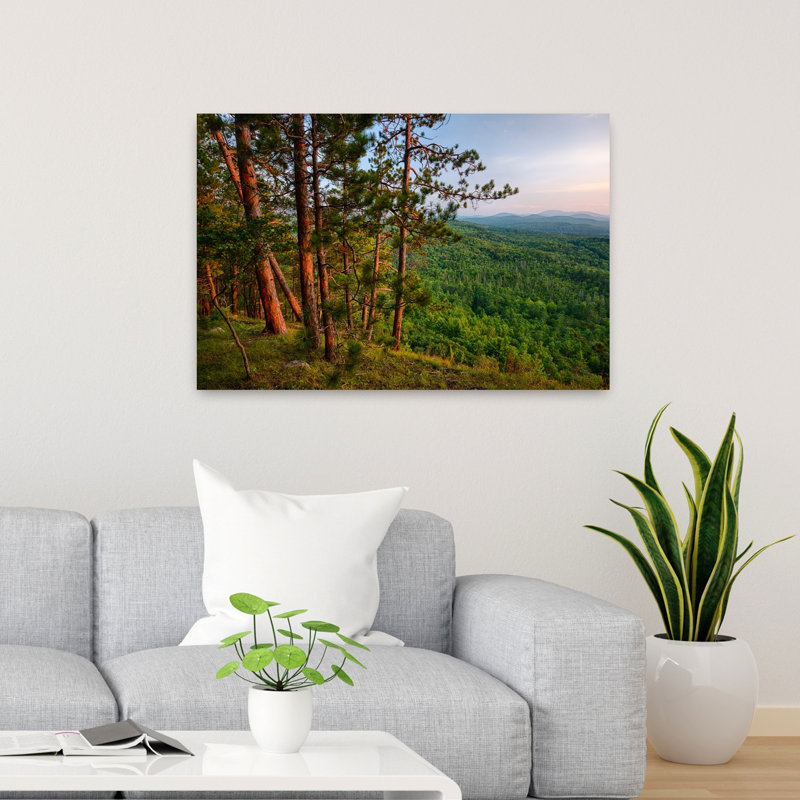 Paysage forestier de la montagne Kipp, montagnes Adirondack, New York, États-Unis, art contemporain de paysage forestier abstrait