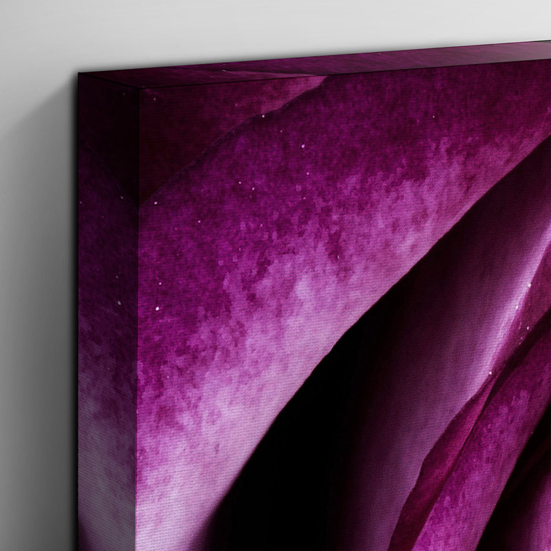 Purple Rose Photographic - Wrapped Canvas, 70cm H x 100cm W