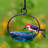 Diederick Hanging Tray Bird Feeder-1972312366