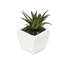 Ensemble de 12 mini cactus artificiels en pot 12 pièces