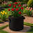 9.8″ 5-Gallon Fabric Grow Bag – Reusable Black Aeration Plant Pot for Vegetables, Herbs, Flowers, and Root Plants-324914764