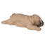 Statue de couchage chiot carlin