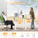 Koree Standing & Height-Adjustable Desks