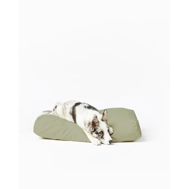 Coussin Signature / lit classique, Moyen (l 24 po x P 30 po x H 4,75 po), Vert