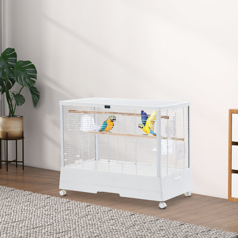 Bird Cage, White