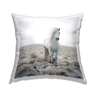 Coussin Windswept