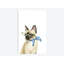 «Cool Cat II», impression sur toile-29283257-74748690-74748685