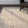 Arneshia Oriental Gray/Beige Area Rug