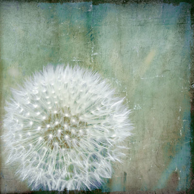 «Hope», reproduction sur toile tendue