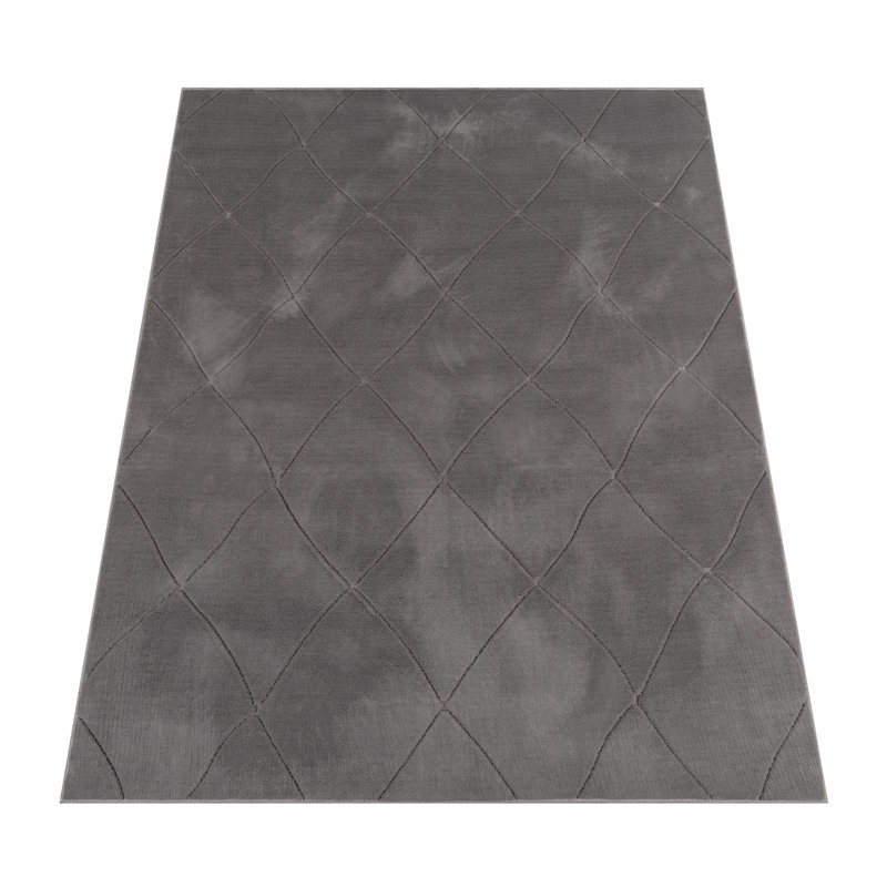 Ishpeming Solid Colour Area Rug, Rectangular 60 x 100cm