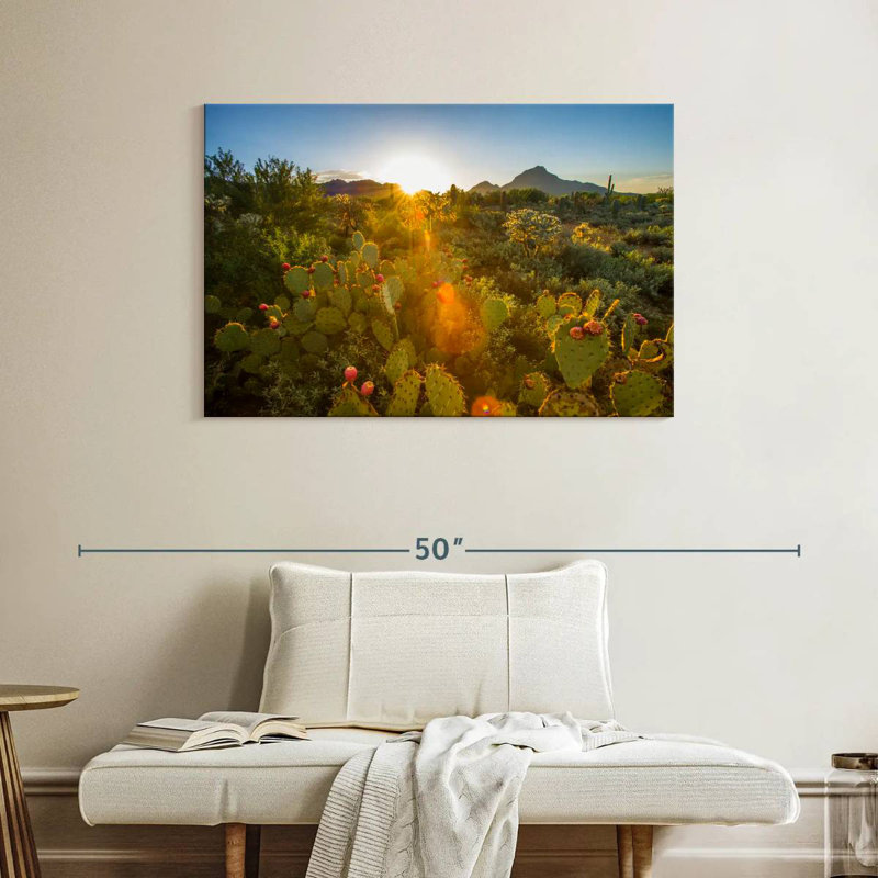Harnek Cactus Desert Garden, 26" H x 39" W