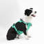 Harnais pour animal de compagnie Arlo-112400934-128618013
