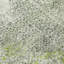 Tapis moderne lavable à la machine intérieur / extérieur ACN2743-512963865-512963846