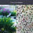 New Leaf Window Film 24" x 36"