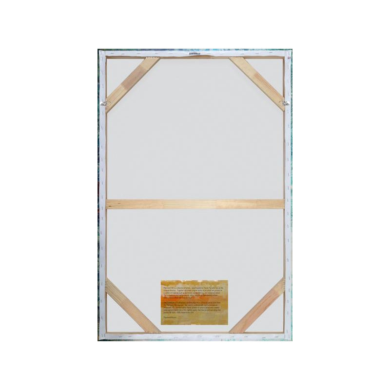 Claudia Schoen - Wrapped Canvas Painting, 45cm H x 30cm W