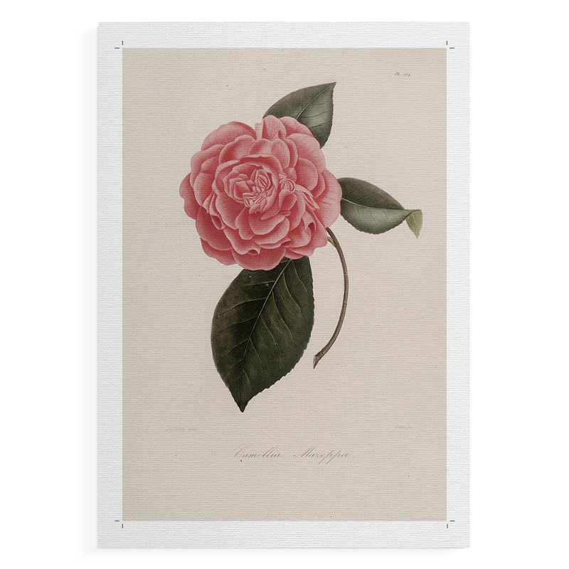 Imprimé floral rétro CXLI - impression sur toile seulement - non encadrée, H 48 po x l 32 po