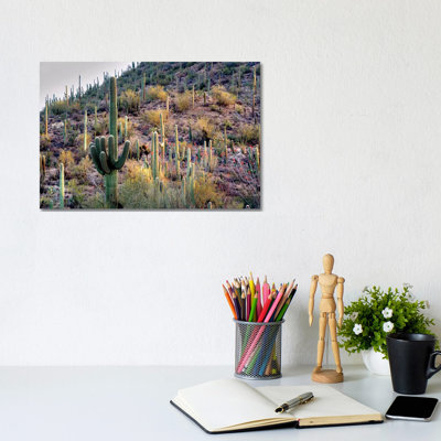Wild Cactus Garden by Dennis Frates - Wrapped Canvas Print
