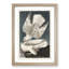 Two Gyrfalcons by John James Audubon - Framed Print-55614596-55614600