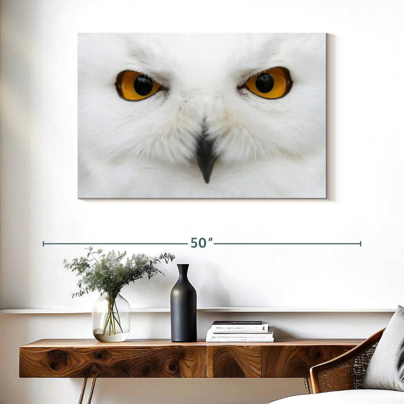 Brampt yeux de chouette des neiges, H 26 po x l 39 po