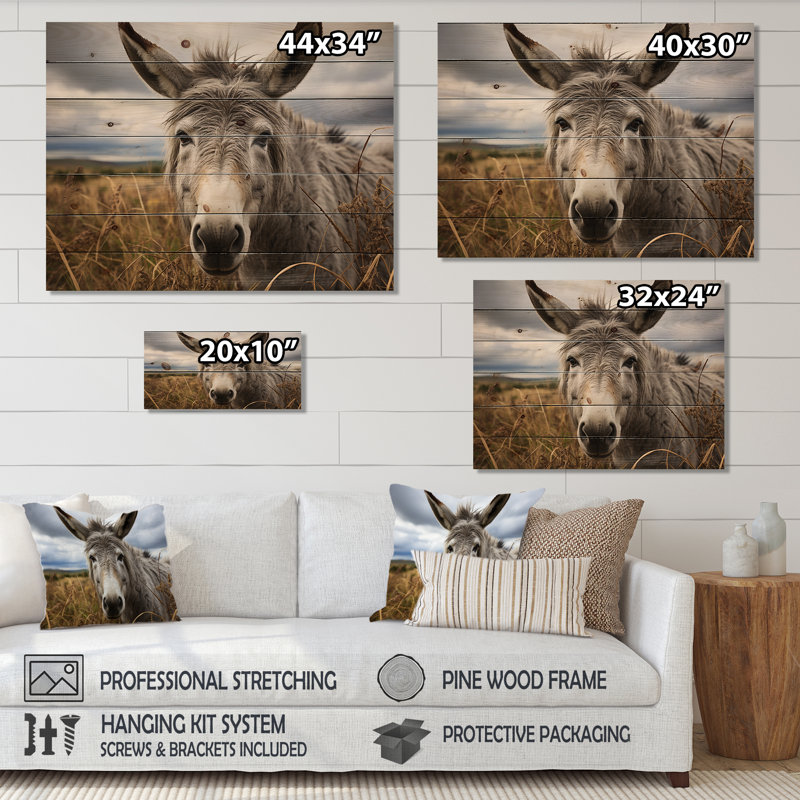 «Bricola Grey Donkey Gentle Companion» sur impression sur bois, H 10 po x l 20 po x P 0,78 po