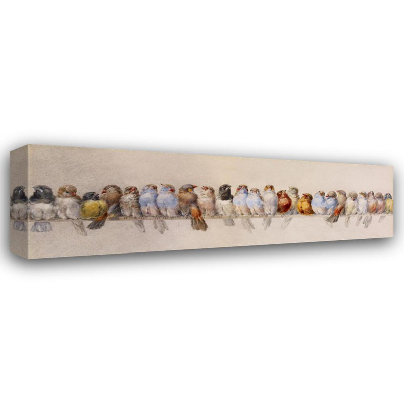Perchoir à oiseaux, H 8 po x l 24 po