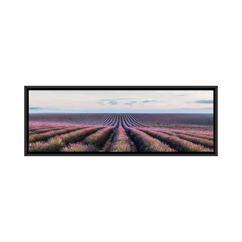 «Lavender Field, Provence, France» par Matteo Colombo - Estampe numérique sur toile tendue avec châssis, Toile tendue