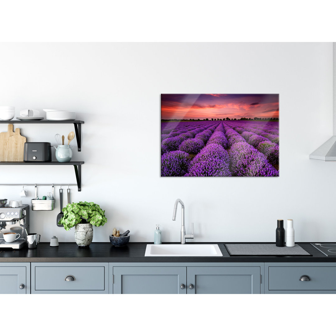 Glasbild | Wandbild Auf Echtglas | Wunderschöne Lavendel Provence | 2 lila LFs2279