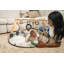 Gymini de développement Tiny Love Luxe