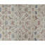 Oriental Indoor Rug