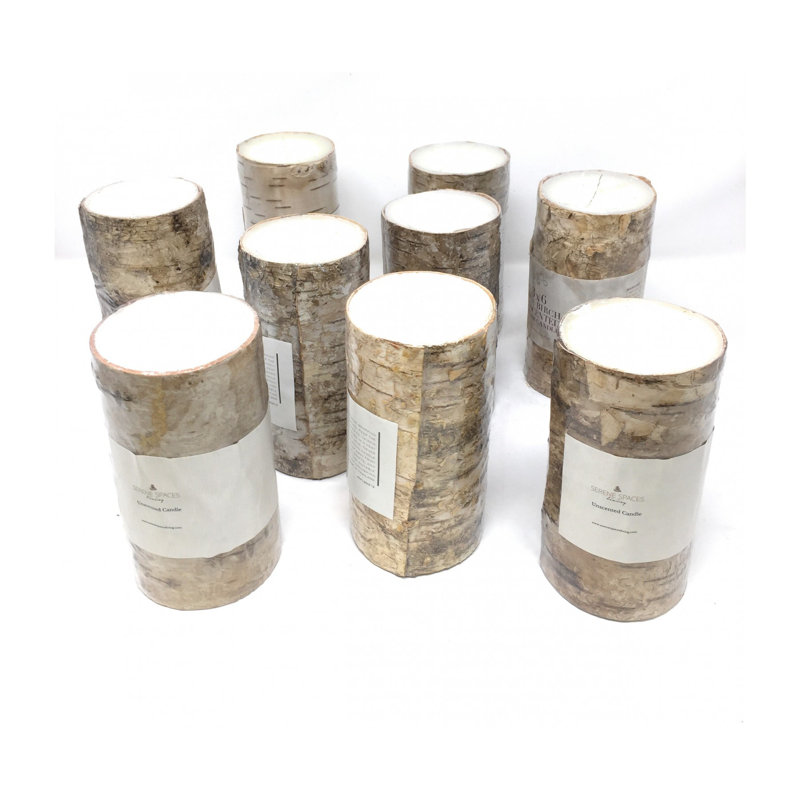 L’ensemble de Taille 12 bougies de style pilier de style bois de bouleau sereine procure de la nature à l’intérieur, de 3 po de diamètre et de 5,75 po de hauteur.