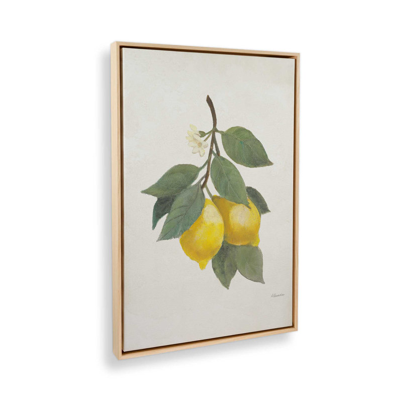 «Lemon Harvest I», reproduction sur toile, Cadre flottant en érable américain, H 48,75 po x l 32,75 po x P 1,75 po