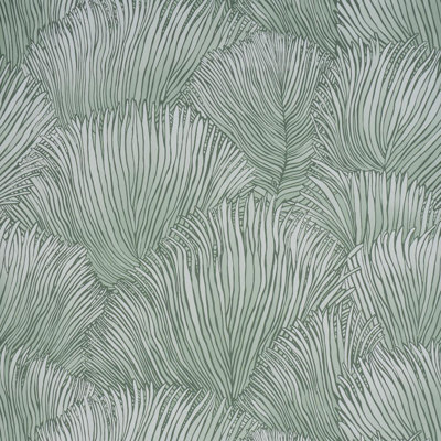 Fondale Wallpaper