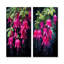 Fleurs fuchsia en noir et rose - ensemble d'art mural en métal fuchsia de 3-875294983