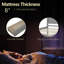 Lit plateforme simple avec deux tiroirs-405435529