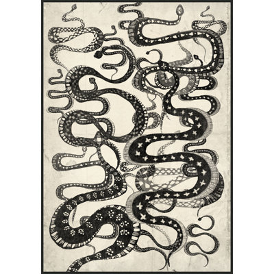 Snake Pathway Print by Thom Filicia