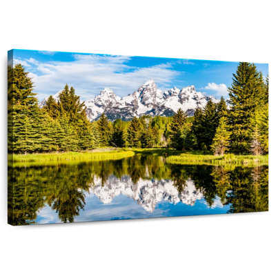 Alvord Grand Teton Greenery