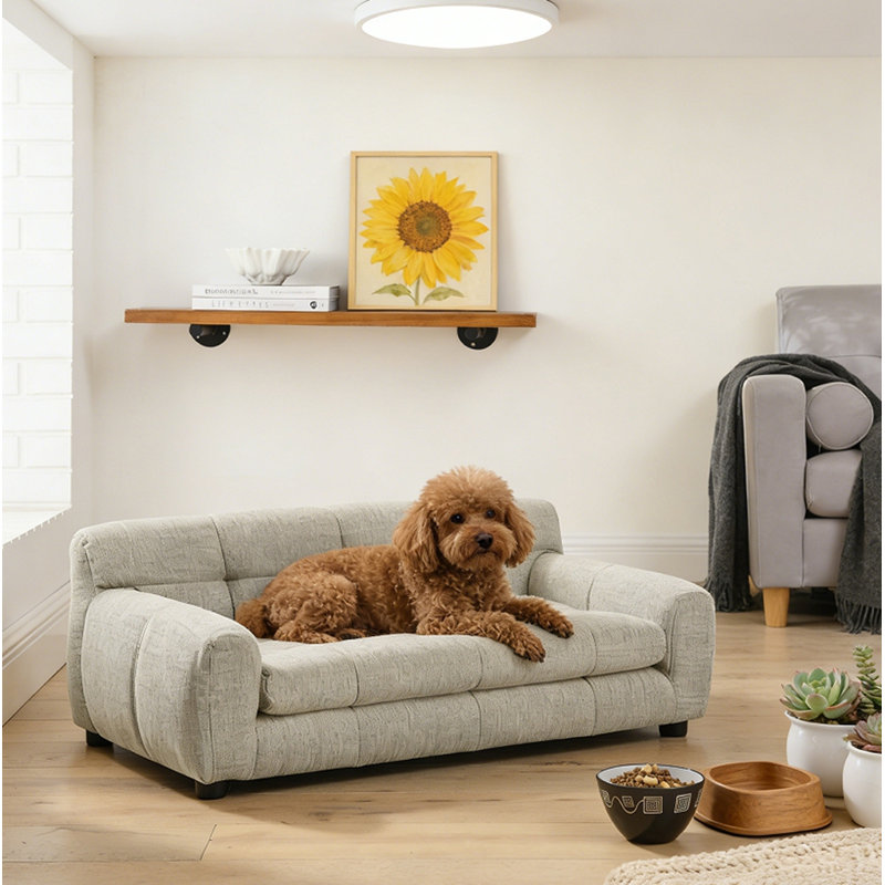 Canapé pour chien surélevé, Beige