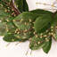 Couronne de feuilles de magnolia artificielle 24 po 24 po-1582586607