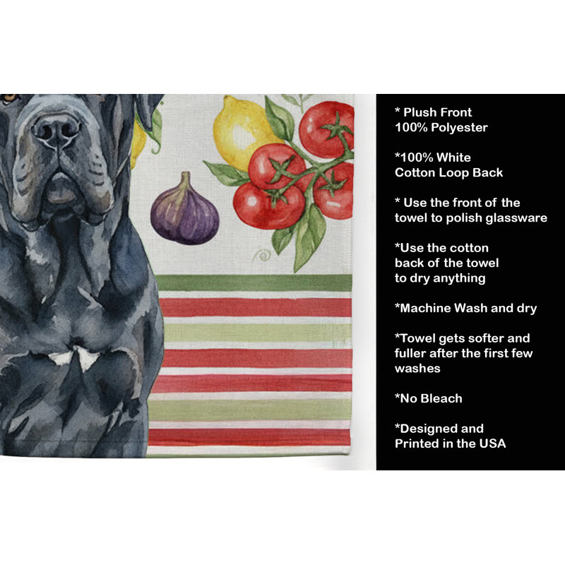 Torchon noir napolitain, Black Neapolitan Mastiff