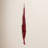 30" Amaranthus Bundle, Preserved-99849543
