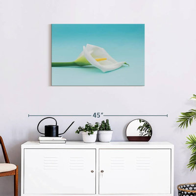Harnek Calla Lily Bloom