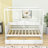 Aeriona Canopy Daybed with 2 Drawers-917037005